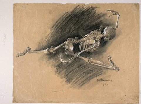 RECORD DATE NOT STATED  Skeleton study for the picture Skeletal dance ; Ho... Stock Photos