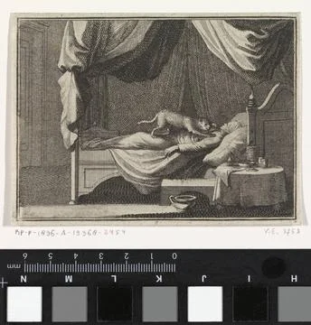 RECORD DATE NOT STATED  Sleeping Ketter is attacked by a cat, Caspar Luyke... Stock Photos