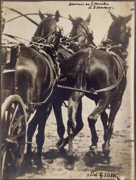RECORD DATE NOT STATED  Slitz. Souvenir of the three horses omnibus . Pari... 스톡 사진