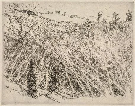RECORD DATE NOT STATED Spring tangle , Trees. Charles H. Woodbury (1864-19... Stock Photos