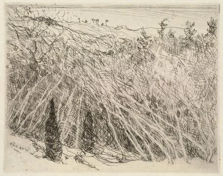 RECORD DATE NOT STATED Spring tangle , Trees. Charles H. Woodbury (1864-19... Stock Photos