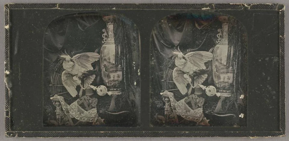 RECORD DATE NOT STATED Still life with parrot, large vase, and objet d art... Foto stock