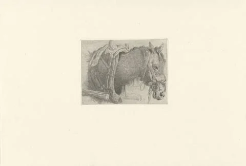 RECORD DATE NOT STATED  Study of a horse s head, Pieter Gerardus van Os, 1... Stock Photos