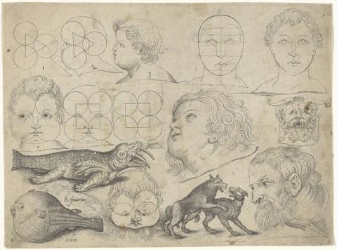 RECORD DATE NOT STATED  Study sheet with drawing examples: Figures, Animal... Stock Photos