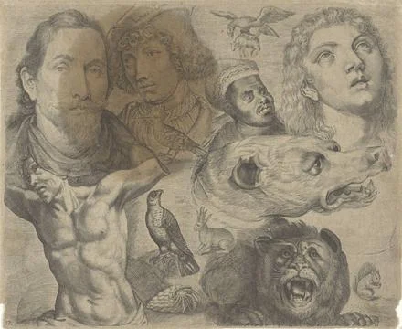 RECORD DATE NOT STATED  Study sheet with drawing examples: heads, torso an... Stock Photos