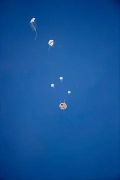 RECORD DATE NOT STATED  A successful Orion parachute test takes place at U... Stock Photos