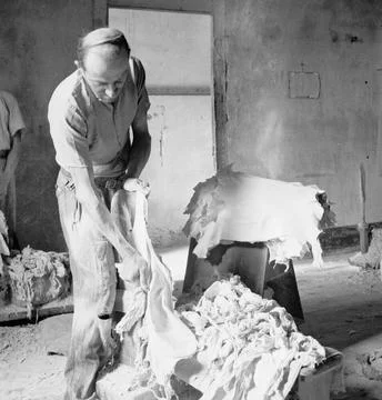 RECORD DATE NOT STATED Technical Assistance - Hands at Work Series. Photog... Stock Photos