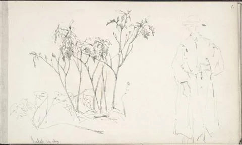 RECORD DATE NOT STATED  Theodor von Hörmann Siofok, sketch of bushes and a.. Stock Photos