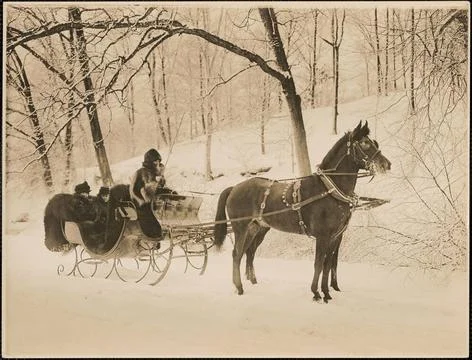 RECORD DATE NOT STATED Three people in a horse drawn sleigh , Horses, Sled... Stock Photos