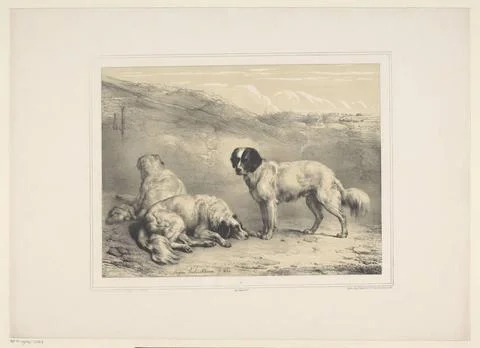 RECORD DATE NOT STATED  Three Dogs, Eugene Verboeckhoven, 1844 print Paris... Stock Photos