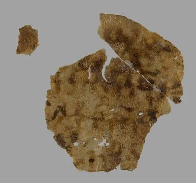 RECORD DATE NOT STATED  Three fragments of the folio of the Code (jointly ... Photos