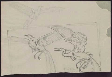 RECORD DATE NOT STATED  Three birds in flight (hat); verso: bird in flight... Foto stock