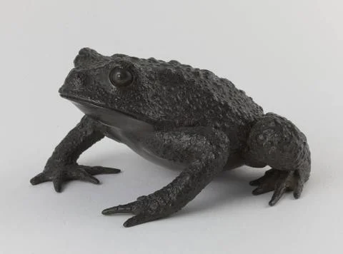 RECORD DATE NOT STATED  Toad. Bronze. Paris, Cernuschi museum. Asian antiq... Stock Photos