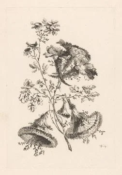RECORD DATE NOT STATED  Triangular flowers, Johann Heinrich Hess (1746-181... 写真素材