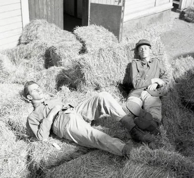 RECORD DATE NOT STATED Two conscripts rest on hay bales. Norrland s Dragon... Foto stock