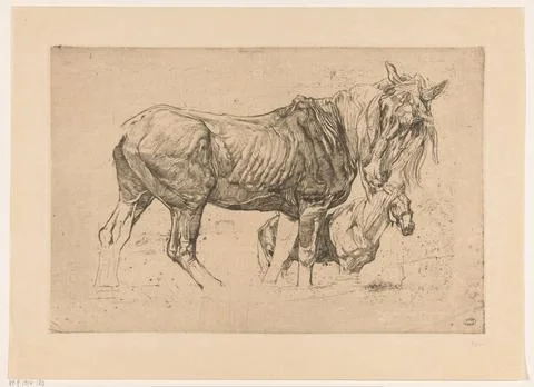 RECORD DATE NOT STATED  Two horses, Pieter Dupont, 1897 print Paris paper ... Stock Photos