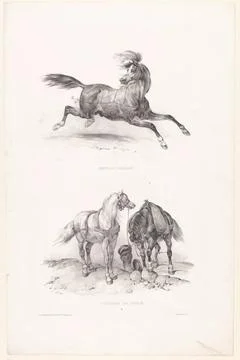 RECORD DATE NOT STATED  Two performances with a Roman horse and two post h... Stock Photos