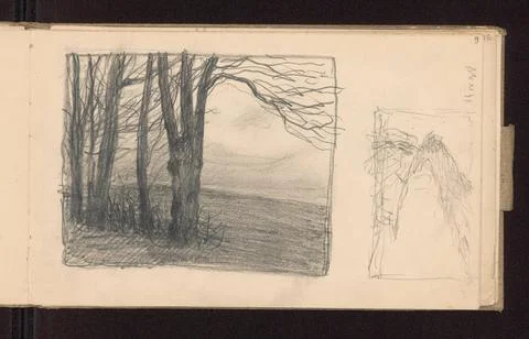 RECORD DATE NOT STATED  Two sketches: a) leafless trees against the backgr... Stock Photos