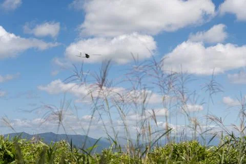 RECORD DATE NOT STATED U.S. Marines with 3d Battalion, 3d Marines operate ... 写真素材