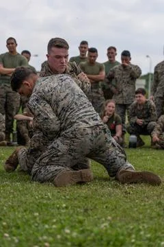 RECORD DATE NOT STATED U.S. Marine Corps Cpl. Seth Kangas, a supply admini... Stock Photos