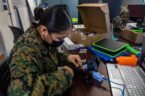 RECORD DATE NOT STATED U.S. Navy Sailor Logistics Specialist 3rd Class Abi... Stockfoto's