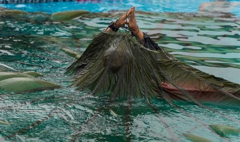 RECORD DATE NOT STATED A U.S. Marine with 3d Reconnaissance Battalion cond... Foto stock