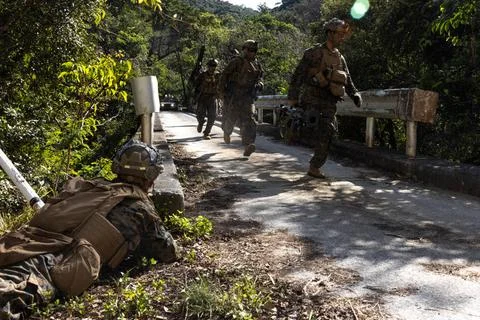 RECORD DATE NOT STATED  U.S. Marines execute a notional bridge demolition ... Stock Photos