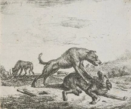 RECORD DATE NOT STATED  Various animals. Two dogs fighting prints, etching... Stock Photos