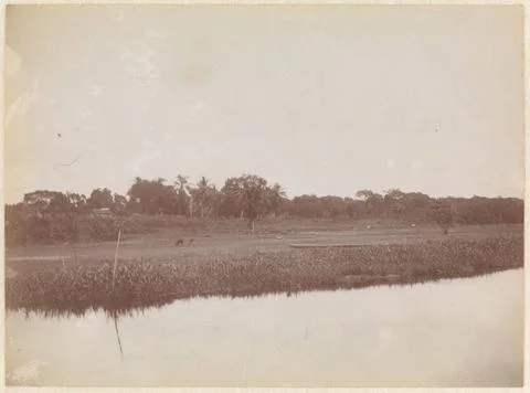 RECORD DATE NOT STATED  View of Onoribo, a wood land in the Para district,... Photos