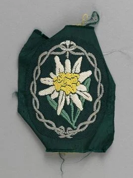RECORD DATE NOT STATED  War 1939-1945. Gebirgsjäger handle badge. General .. Photos
