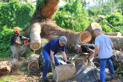 RECORD DATE NOT STATED When Typhoon Soudelor hit Saipan in August, it affe... 스톡 사진