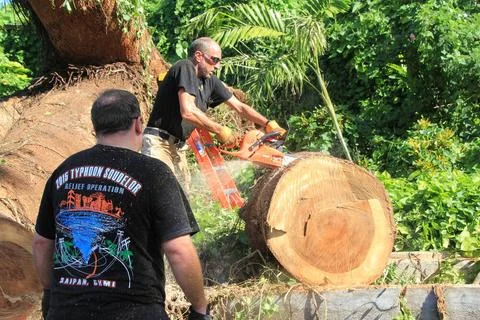 RECORD DATE NOT STATED When Typhoon Soudelor hit Saipan in August 2015, it... 스톡 사진