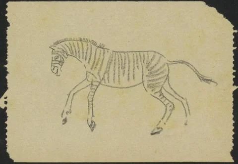 RECORD DATE NOT STATED  Zebra, c. 1904 - c. 1906 drawing paper. chalk hoof... Stock Photos