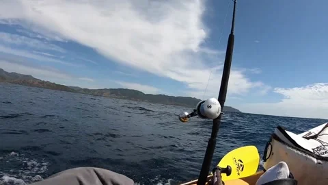 Record Marlin Pulls Kayaker Out To Sea 12 Miles, Cambutal, Panama - 22 Jan 2020 Stock Footage 205162366