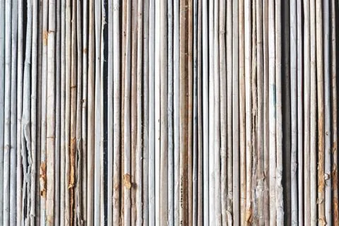 Record Packing Range. Background, texture of thin stripes. Colorful stripes.. Stock Photos