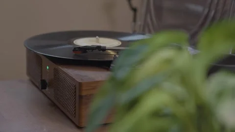 Record Player Behind a Plant 4K Stock Footage 243401181