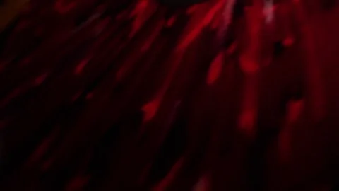 Record player playing in slowmo Stock Footage 77023001