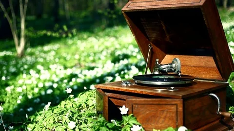 Record player turntable in the forest HD stock footage Video stock 79854094