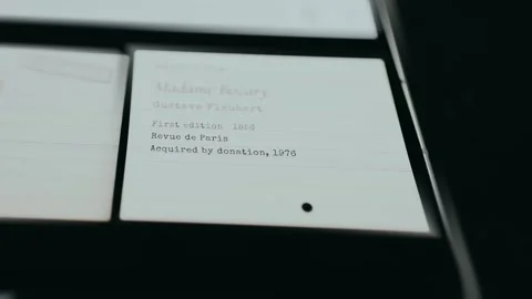 Record for a rare first edition of Madame Bovary by Gustave Flaubert Stock Footage 334942969