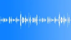 Record Scratch 2Sound Effect