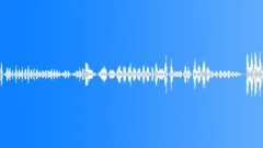 Record Scratch 5 Sound Effect