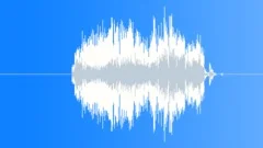Record scratch Sound Effect