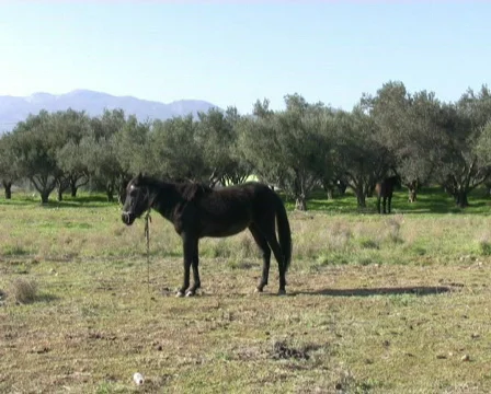 Record2 스톡 동영상 93556