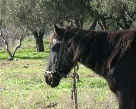 Record3 Video stock 93553