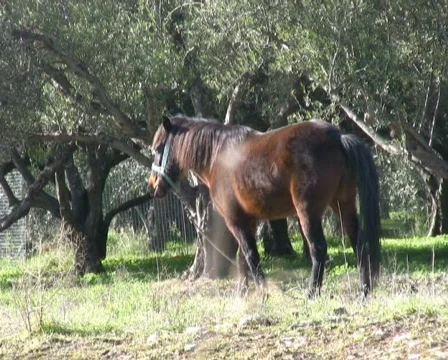 Record4 스톡 동영상 93560