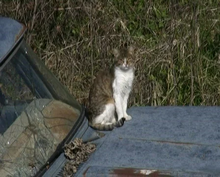 Record9 스톡 동영상 93573