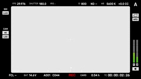 Recording Camera Screen Stock Footage 268889530