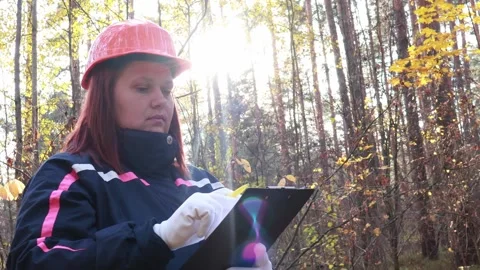 Recording observations in a serene forest environment with autumn colors Vídeo Stock 295254529