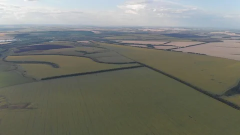 Recording over fields height of 500 m aerial video 4k25 51 sec Stock Footage 115800131