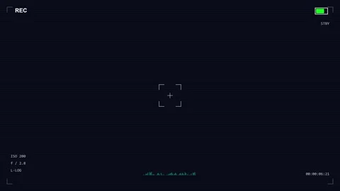 Recording screen overlay digital camera Stock Footage 336648819